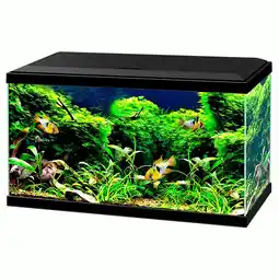 Pets Place Ciano Aquarium 60 Led Cf80 - Aquaria - 60x30x34 cm 58 l Zwart aanbieding