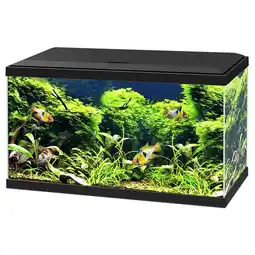 Pets Place Ciano Aquarium 60 Led Cf80 - Aquaria - 60x30x34 cm 58 l Zwart aanbieding