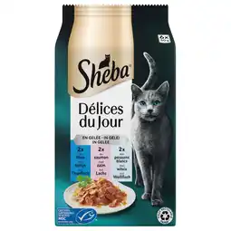 Pets Place Sheba Delices Du Jour In Gelei Maaltijdzakjes - Kattenvoer - Vis 6x50 g aanbieding