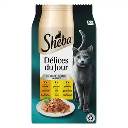 Pets Place Sheba Delices Du Jour In Gelei Maaltijdzakjes - Kattenvoer - Gevogelte 6x50 g aanbieding