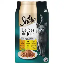Pets Place Sheba Delices Du Jour In Gelei Maaltijdzakjes - Kattenvoer - Gevogelte 6x50 g aanbieding