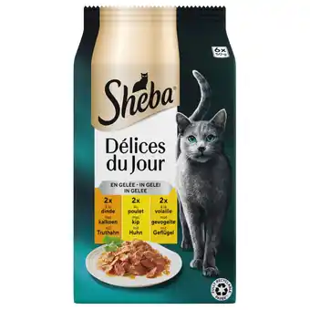 Pets Place Sheba Delices Du Jour In Gelei Maaltijdzakjes - Kattenvoer - Gevogelte 6x50 g aanbieding