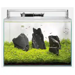 Pets Place Superfish Scaper 45 - Aquaria - 45x32x32 cm 45 l Transparant aanbieding