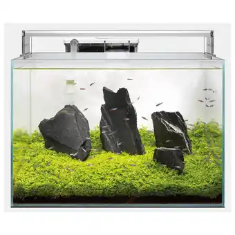 Pets Place Superfish Scaper 45 - Aquaria - 45x32x32 cm 45 l Transparant aanbieding
