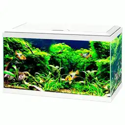 Pets Place Ciano Aquarium 60 Led Cf80 - Aquaria - 60x30x34 cm 58 l Wit aanbieding