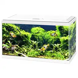 Pets Place Ciano Aquarium 60 Led Cf80 - Aquaria - 60x30x34 cm 58 l Wit aanbieding