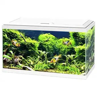 Pets Place Ciano Aquarium 60 Led Cf80 - Aquaria - 60x30x34 cm 58 l Wit aanbieding