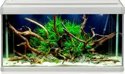 Pets Place Akvastabil Family Aquarium - Aquaria - 70x32.5x37 cm 80 l Grijs Wit aanbieding