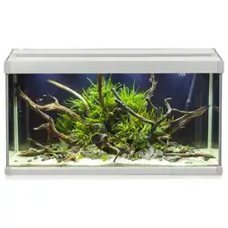 Pets Place Akvastabil Family Aquarium - Aquaria - 70x32.5x37 cm 80 l Grijs Wit aanbieding