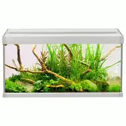 Pets Place Akvastabil Family Aquarium - Aquaria - 60x30x32 cm 54 l Grijs Wit aanbieding