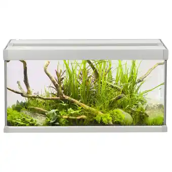 Pets Place Akvastabil Family Aquarium - Aquaria - 60x30x32 cm 54 l Grijs Wit aanbieding