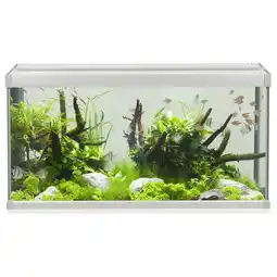Pets Place Akvastabil Family Aquarium - Aquaria - 80x35x42 cm 112 l Grijs Wit aanbieding
