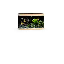 Pets Place Juwel Rio 290 Led - Aquarium - 101x51x66 cm Licht Hout aanbieding