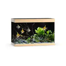 Pets Place Juwel Rio 290 Led - Aquarium - 101x51x66 cm Licht Hout aanbieding