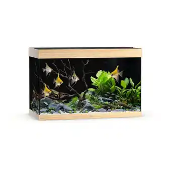 Pets Place Juwel Rio 290 Led - Aquarium - 101x51x66 cm Licht Hout aanbieding