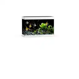 Pets Place Juwel Rio 290 Led - Aquarium - 101x51x66 cm Wit aanbieding