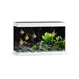 Pets Place Juwel Rio 290 Led - Aquarium - 101x51x66 cm Wit aanbieding