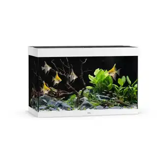 Pets Place Juwel Rio 290 Led - Aquarium - 101x51x66 cm Wit aanbieding