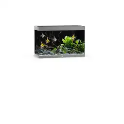 Pets Place Juwel Rio 290 Led - Aquarium - 101x51x66 cm Grijs aanbieding