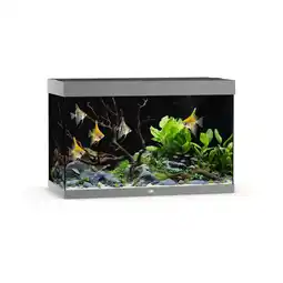 Pets Place Juwel Rio 290 Led - Aquarium - 101x51x66 cm Grijs aanbieding