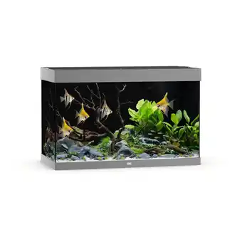 Pets Place Juwel Rio 290 Led - Aquarium - 101x51x66 cm Grijs aanbieding