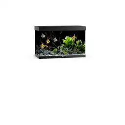 Pets Place Juwel Rio 290 Led - Aquarium - 101x51x66 cm Zwart aanbieding