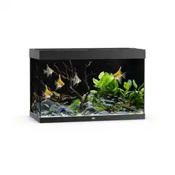 Pets Place Juwel Rio 290 Led - Aquarium - 101x51x66 cm Zwart aanbieding