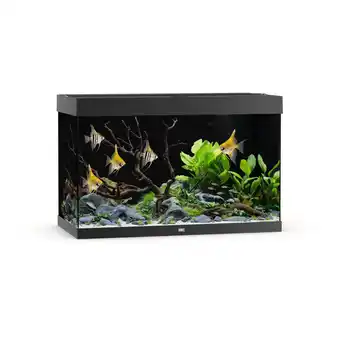 Pets Place Juwel Rio 290 Led - Aquarium - 101x51x66 cm Zwart aanbieding
