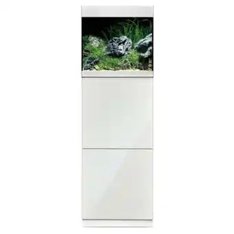 Pets Place Oase Highline Optiwhite 125 Aquarium - Aquaria - 50x50x50 cm 125 l Transparant Wit aanbieding