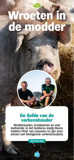Albert Heijn De liefde van de varkenshouder aanbieding
