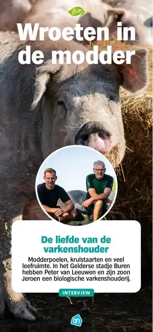 Albert Heijn De liefde van de varkenshouder aanbieding