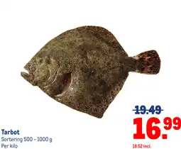 Makro Tarbot aanbieding