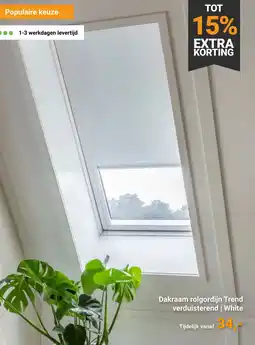 Raamdecoratie.com Dakraam rolgordijn Trend verduisterend | White aanbieding