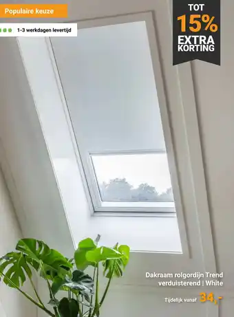 Raamdecoratie.com Dakraam rolgordijn Trend verduisterend | White aanbieding