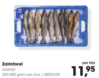 HANOS Zalmforel aanbieding