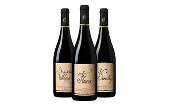De Wijnbeurs Beaujolais Wijnpakket aanbieding
