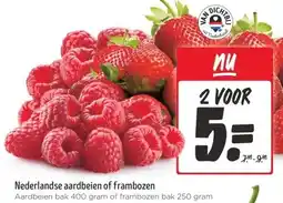 Jumbo Nederlandse aardbeien of frambozen aanbieding