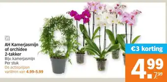 Albert Heijn AH Kamerjasmijn of orchidee 2-takker aanbieding