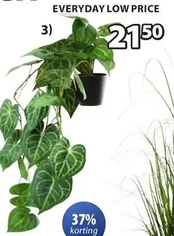 Jysk Knoppsvane kunstplant aanbieding