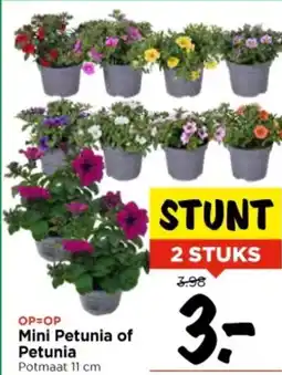 Vomar Voordeelmarkt Mini Petunia of Petunia aanbieding