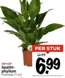 Vomar Voordeelmarkt Spathi phyllum aanbieding