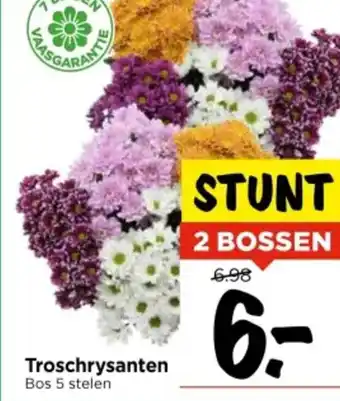 Vomar Voordeelmarkt Troschrysanten aanbieding