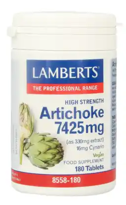 De Online Drogist Lamberts Artisjok Extract Tabletten 180TB aanbieding