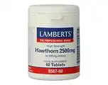 De Online Drogist Lamberts Crataegus 2500mg Tabletten 60TB aanbieding