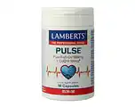 De Online Drogist Lamberts Pulse Visolie + Q10 Capsules 90CP aanbieding