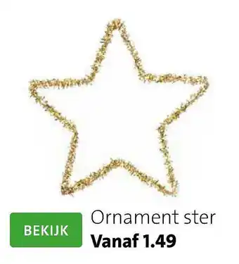 Intratuin Ornament Ster aanbieding