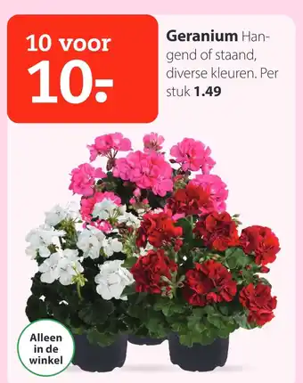 Pets Place Geranium aanbieding