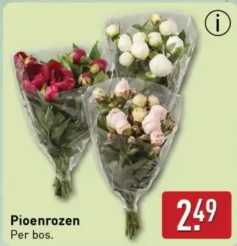 ALDI Pioenrozen aanbieding