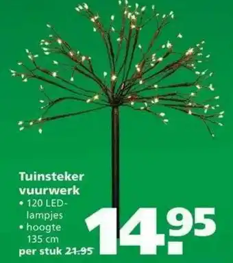 Ranzijn Tuinsteker Vuurwerk aanbieding