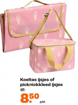 Kwantum Koeltas ijsjes of picknickkleed ijsjes aanbieding